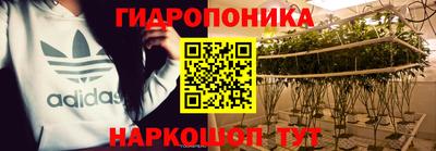 jwh Гусев