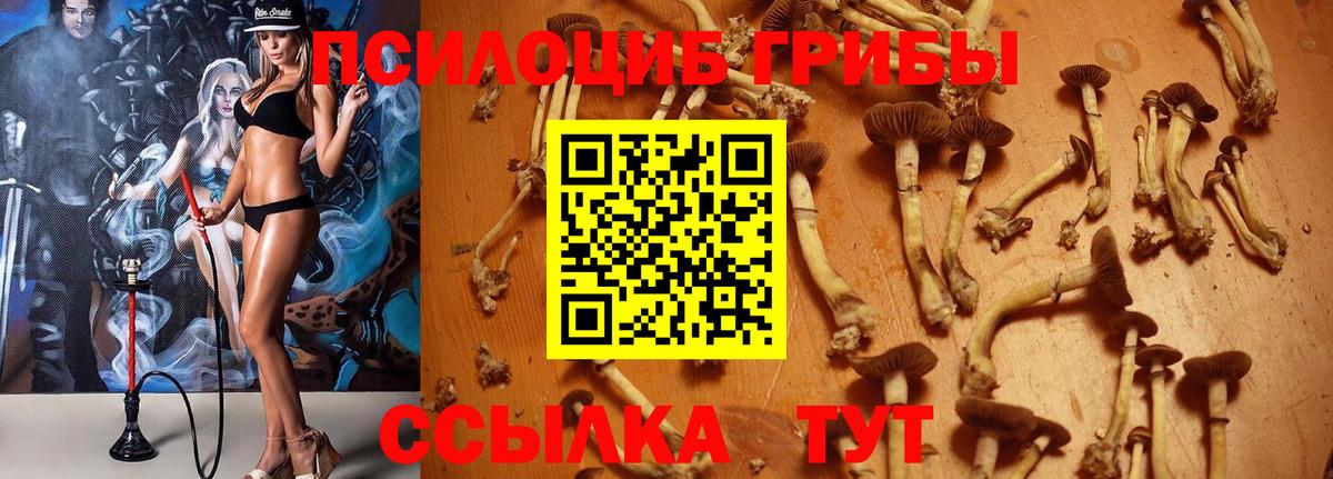 Галлюциногенные грибы Psilocybine cubensis  Галлюциногенные грибы Cubensis  как найти закладки  Вход с VPN  Заречный 