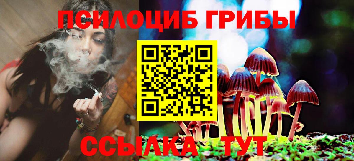 Псилоцибиновые грибы Cubensis Заречный